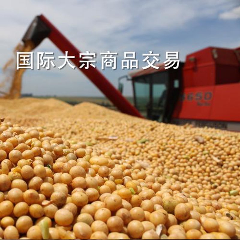 大宗商品批发